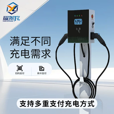 Elektrikli avtomobil şarj cihazları, New Energy Vehicle Charging