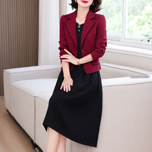 中年妈妈喜婆婆连衣裙女春秋款2024新款女装高档长袖两件套装裙