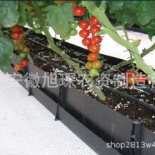 �۱�ϩPP�Nֲ�� ���Ҵ���õ���r�л��{ݮ��ݮ�߲� �o������