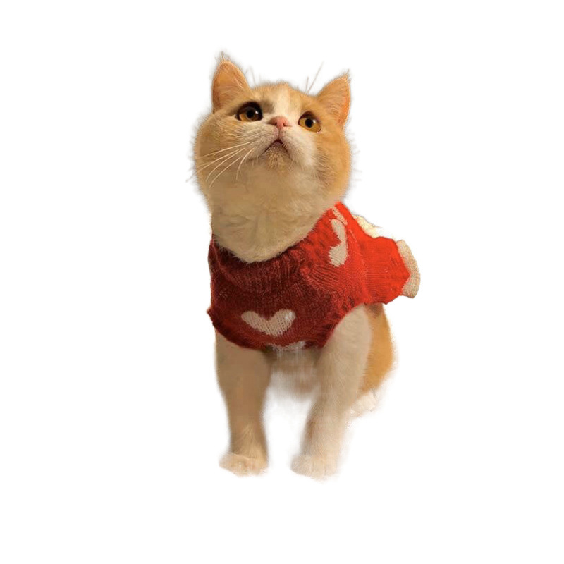 애완 동물 원피스 케이크 공주 원피스  사랑 가을 겨울 INS 고양이 옷 애완 동물 개 원피스 스웨터 니트 스웨터