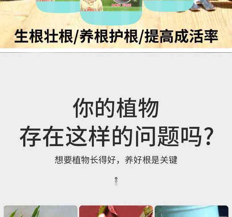 e1ed2527-92a8-4c0f-a5a4-b11cb0fa1686.jpe