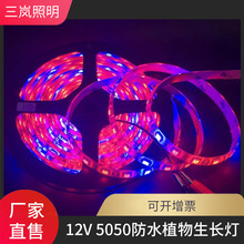 LED5050花卉蔬菜养殖灯灯带12V防水灯带多肉类软灯条植物生长灯带