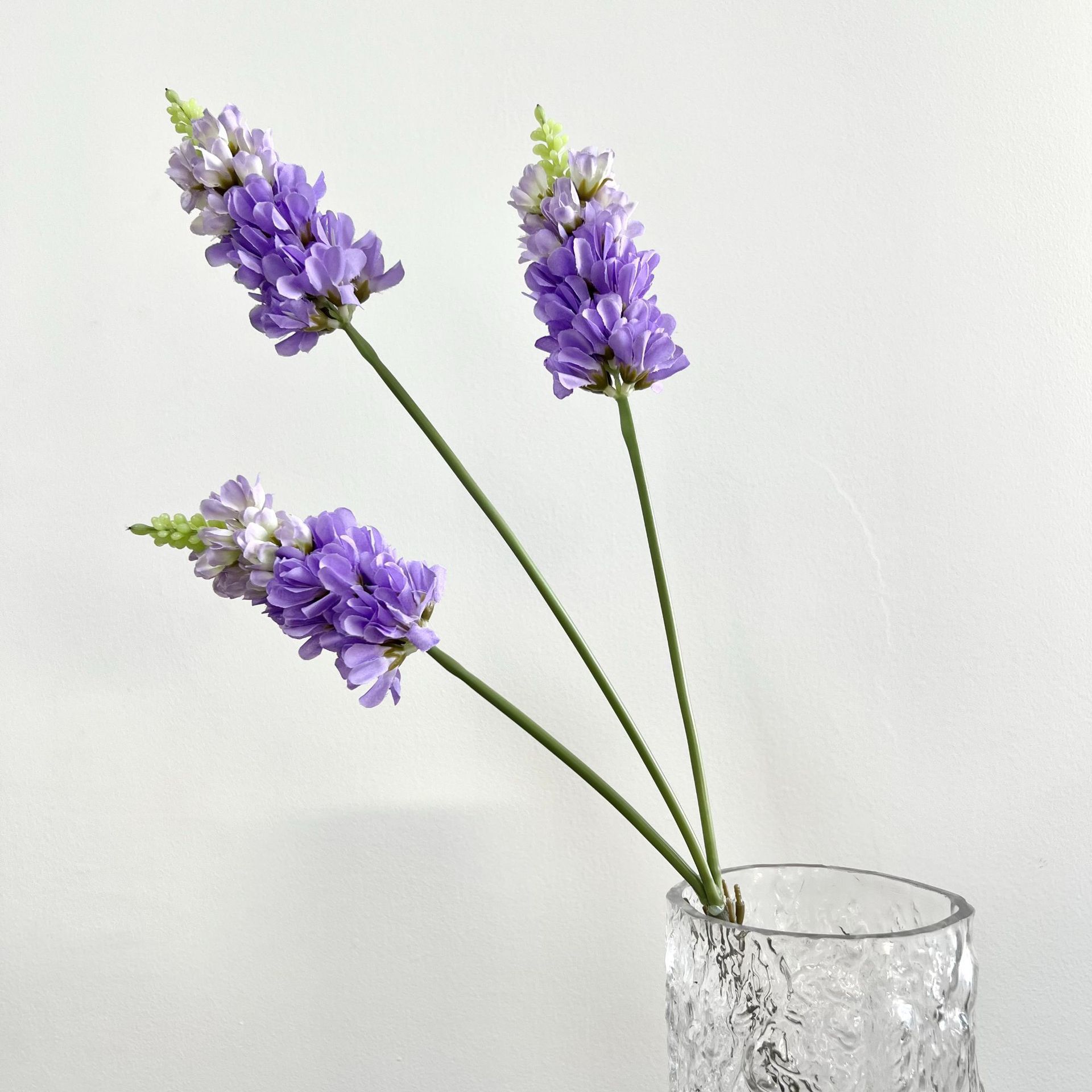 Lavanda Tridente púrpura