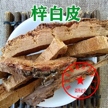 梓树-梓树批发、促销价格、产地货源 - 阿里巴巴