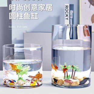 Wholesale Glass Vase Straight Thickened Flower Arrangement Rich Bamboo Hydroponic Vessel Decorative Floor Vase Round Cylinder