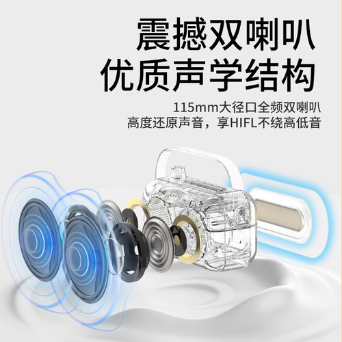 B155 wireless Bluetooth speaker home karaoke artifact gift set portable outdoor microphone and audio all-in-one machine