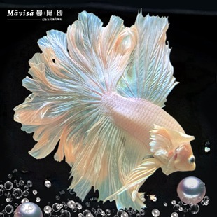 ̩�����~�^�p���~����wһ��һĸ��ֳС���~�ןᎧ��ˮ����