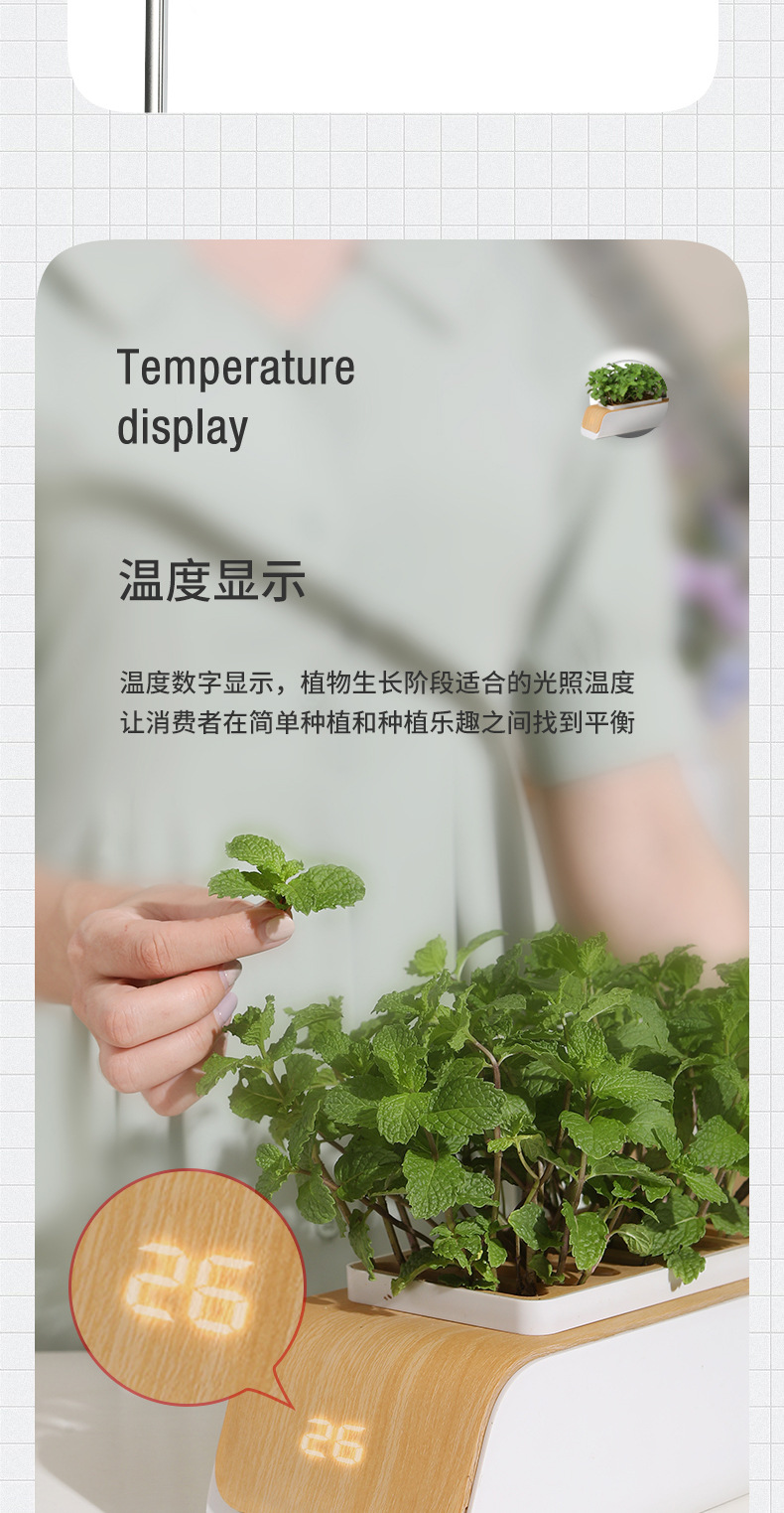 详情1_11.jpg