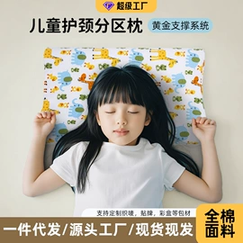 记忆枕;枕套;功能枕