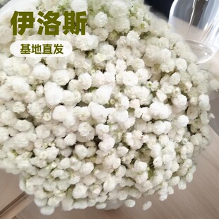 ��ɫ�M�����r�л�����r������ֱ�l��������廨���Ĵ��l������