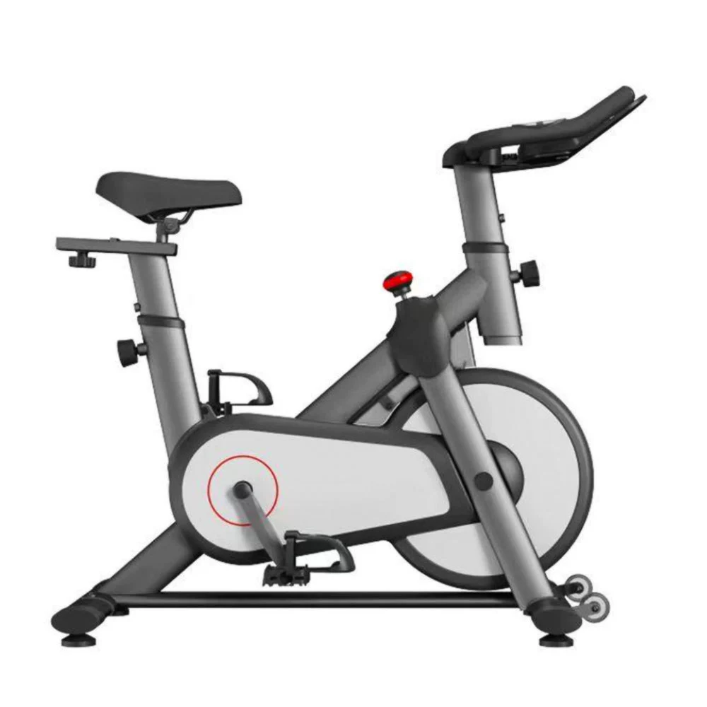 Bike for gym, belt