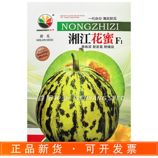 �r֮���潭������ϷN�ӻ�Ƥ�G��������8̖����������������