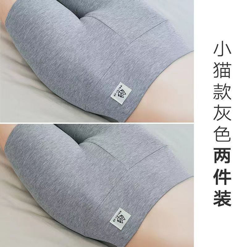 새끼 고양이 회색 + 고양이 회색 2 팩