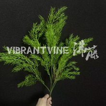 ����Ϧ�F����Gֲɭϵ��Y���·���廨�~�� ��ˇܛ�b�����Fڡ��