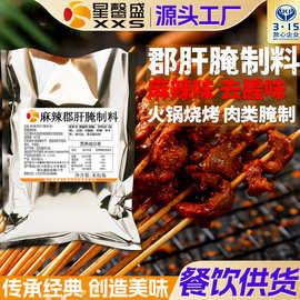 星馨盛 麻辣郡肝腌制料 炸串烧烤调味腌制粉商用餐饮店调味料工厂