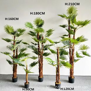 ��������������ȿ����҃��b���ػ��@���ÔzӰ�Pβ�� �ѿ�