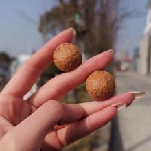 ����С�������殐�λ������J����С�����Ӫ{���^�������ұP�����