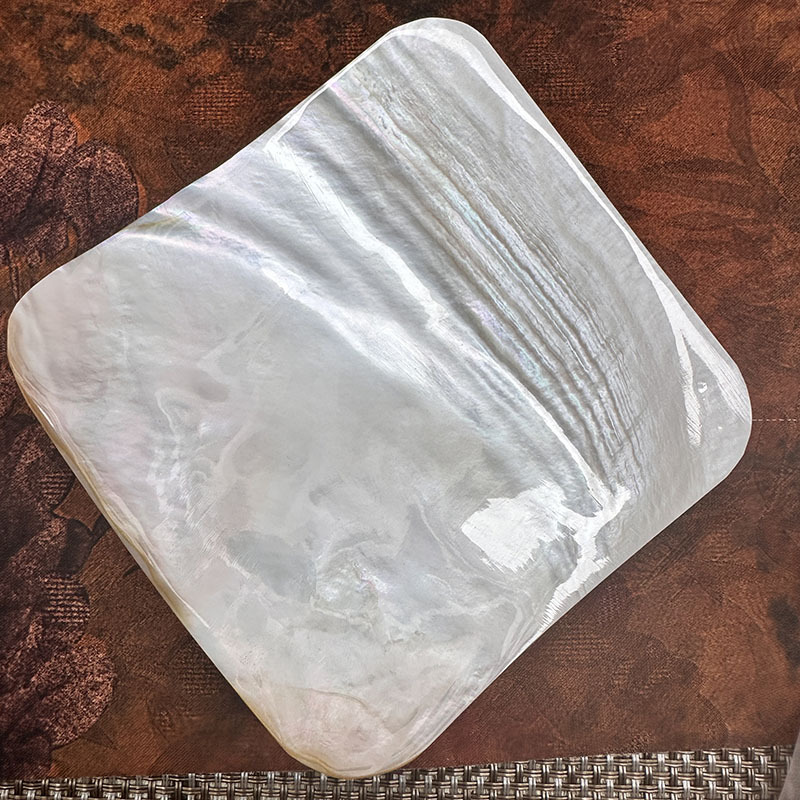 天然白色贝壳酒店家用骨碟11CM替换饰品碟拍照道具亚马逊热销|undefined