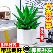 �J�C�����҃�����ȩ�������ļ����B���ܾGֲ����ֲ���k����������