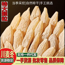 ���ش��w���Ĵ��������w���������T�������|��������������轮��w