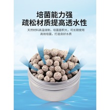 MʯӢմɭhС~^VVĵˮ|