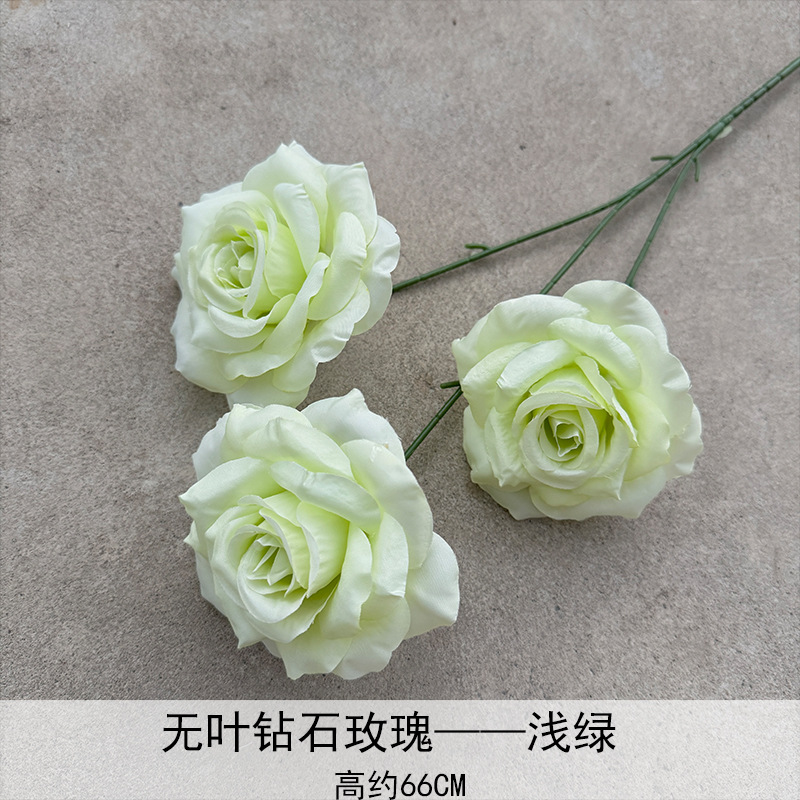 Rosa de diamante verde claro
