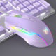Dream Purple Mechanical Keyboard and Mouse Set Wired Green Shaft Tea Shaft 104 Key Computer External E-sports Game