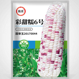 ��������Ŵ6̖�s�����׷N�� ����Ŵճ������ �����r��N��20��