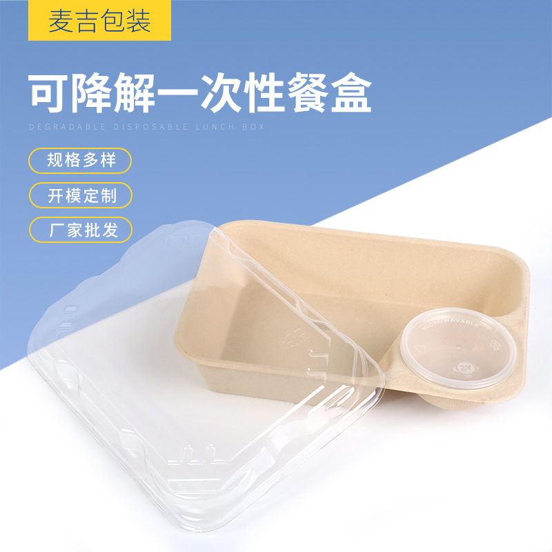 Caja de almuerzo de comida ligera caja de almuerzo para llevar caja de embalaje con salsa taza dumpling caja de fruta caja de ensalada de pulpa desechable