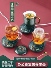 迷你养生壶办公室小型煮茶壶小型煮茶器家用多功能玻璃养生杯