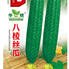 ��Ǵ���z�ϷN�Ӱ˽�ˮ���̨�ˈ@����ͥԺ�߲˷N���ļ��＾