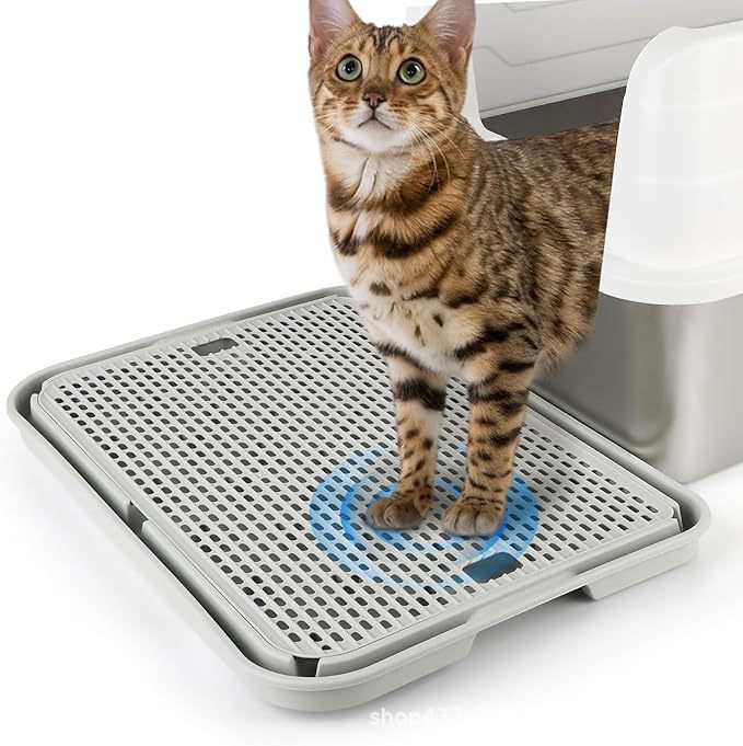 71pV0TvwCVL._AC_SX679_.jpg