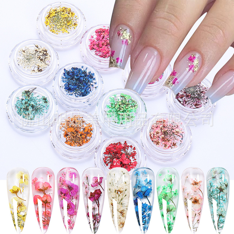 Japanese-Style Dried Flower Embossed Nail Art Accessories Colorful Mint Same Style Real Flower Pressed DIY Nail Decoration Lace Flower