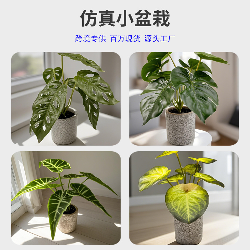 Simulación nórdica Planta verde Tortuga espalda hada Taro Escritorio Bonsai Sala de estar Hogar Decoración del suelo Decoración Decoración Paisaje de plantas falsas