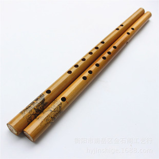 �̓r�����Q�����l�� ��Ȼ����ӌW�����W�� 33CM