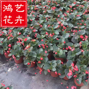 �ȸ纣��С��ɽ�|���ݴ��������ļ��ﺣ�ĸ��N���ԕr��ݻ�