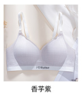 Ventas directas de fábrica comercio electrónico transfronterizo Sudeste de Asia Vietnam Tailandia damas dulces a cuadros sujetador de colección lateral fruncido