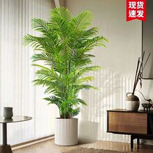 ����Gֲ�p��ɢβ��������Լٻ����҃ȿ͏d�b[������ֲ��