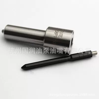 Denso Common Rail Oil pump, nozzle