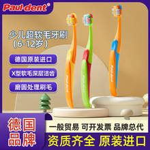 �M�ڌ�����Paul-dent���ك�ܛë�坍�Q������ˢ( 6-12�q)