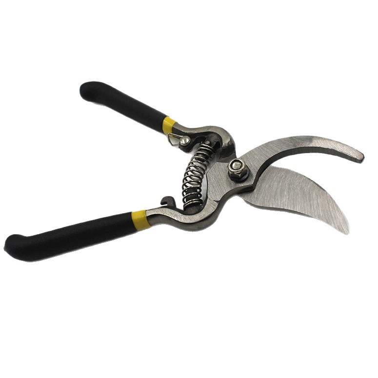 Tijeras de jardinería de 8 pulgadas para podar ramas de frutas, tijeras para podar flores, herramientas para podar ramas, tijeras para podar árboles frutales.