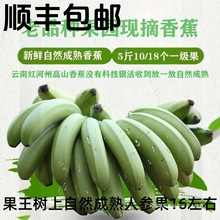 ӛ����ϸ�ɽ��Ȼ�����㽶ˮ��banana�ЋD֥�齶��Ž��Ї����