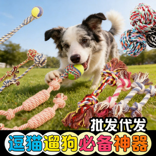 ������߶�����K���p�Y�K�W�򹷹��w�Pĥ�����X��ҧ�K�羳���N