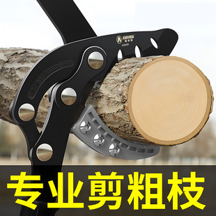 �޼����������޴�����֦��֦ʡ����֦����������֦���Ø�֦��@��