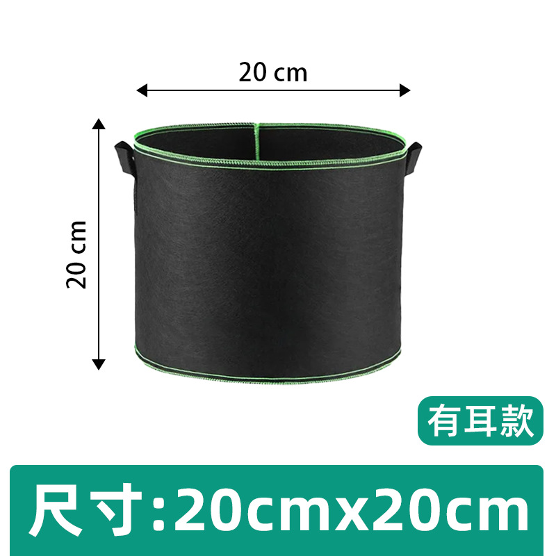 Green edge double handle (20* 20cm ) 2. gallon