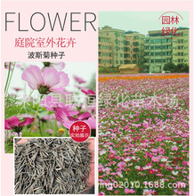 ˹ջNӻܷN׻ɣͥԺ⻨ѻɫ