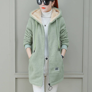 �����q����Ů�ӽq�Ӻ����L��2026�ﶬ���¿��n�挒���_������