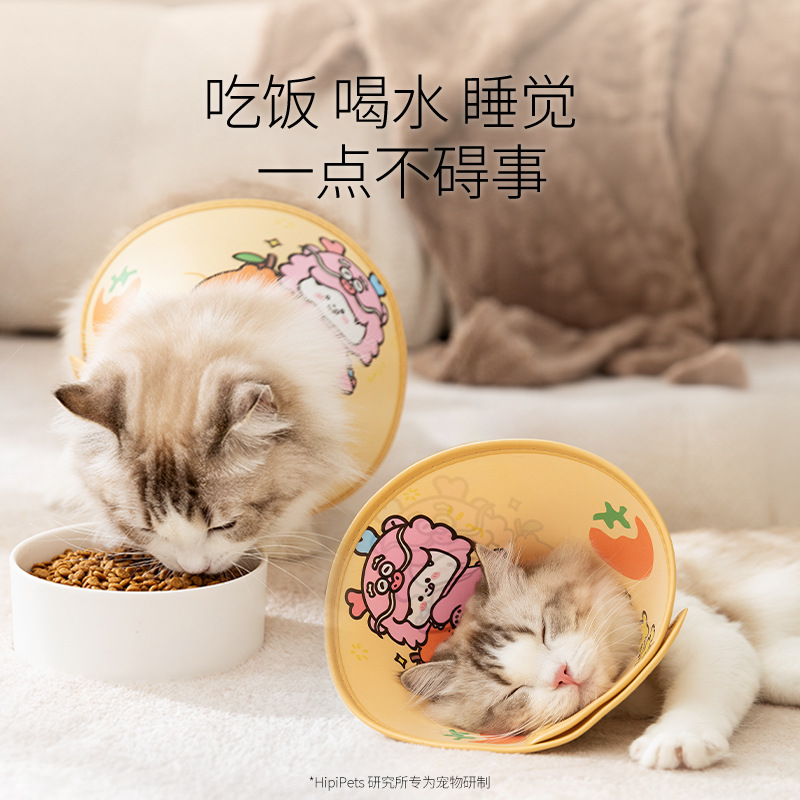 Gato Buena suerte, lenguaje auspicioso, mascota, anillo Elizabeth, capucha para perros, collar impermeable, suministros para mascotas