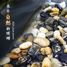 ~Ϫʯɰ쾰ɳˮbɳɳݸ䁵ʯ^ӸB