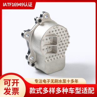 Electronic brushless water pump 161A0-29 015 161 A039 015 161 A029015